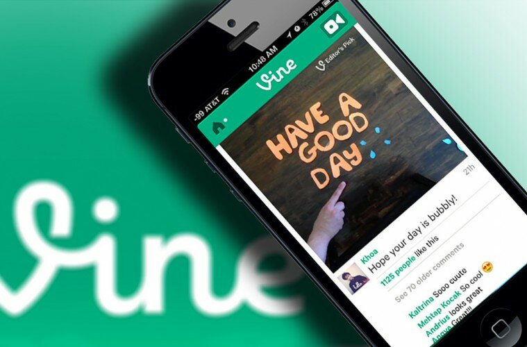 vine 1 759x500