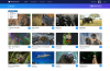 Twitter-Influenth-mediastudio-youtube