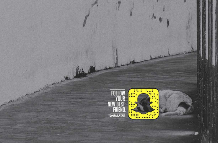 snapadoption snapchat influenth 759x500