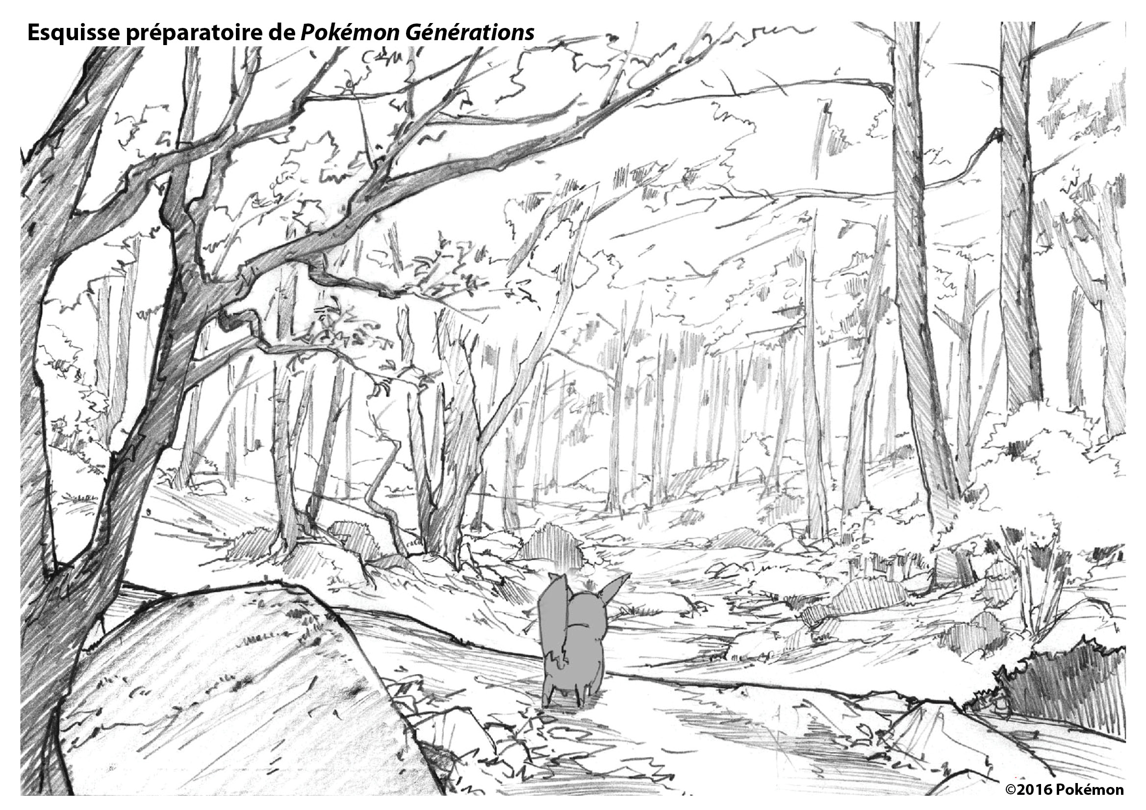pokemon_generations-influenth