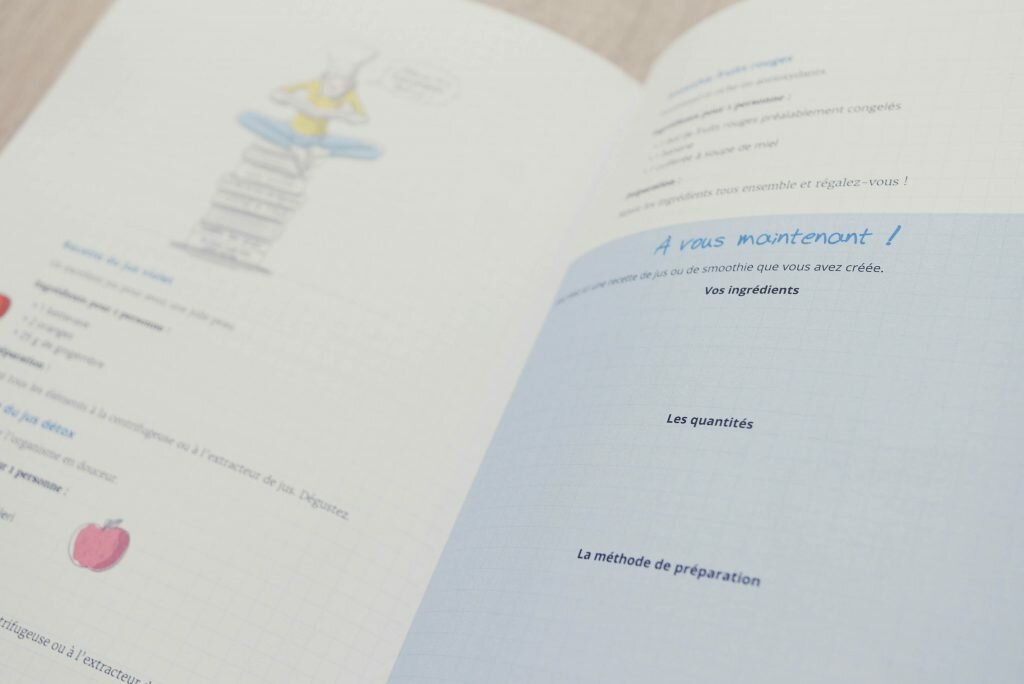 blog-influenth-camillepic-livre