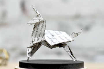 Florigami_Concept, l'art des origamis