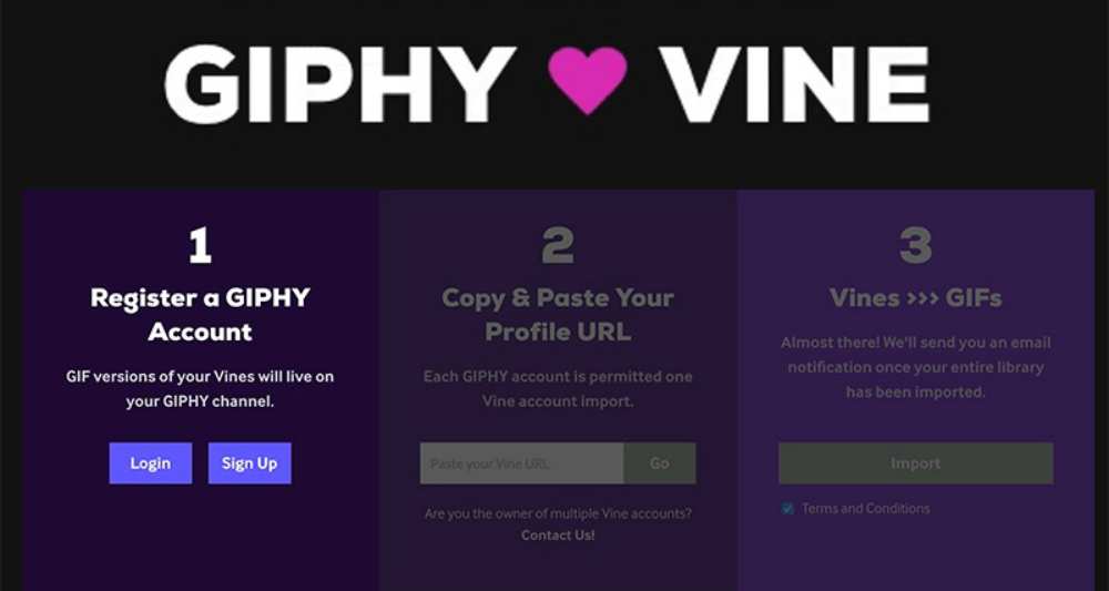 giphy-vine-influenth