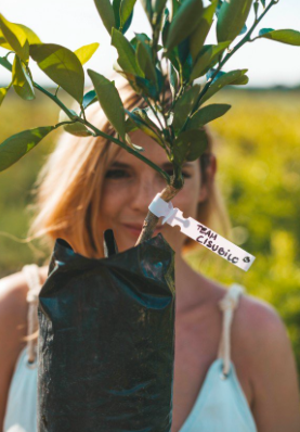 Capture d’écran 2017-12-07 à 15.25.13