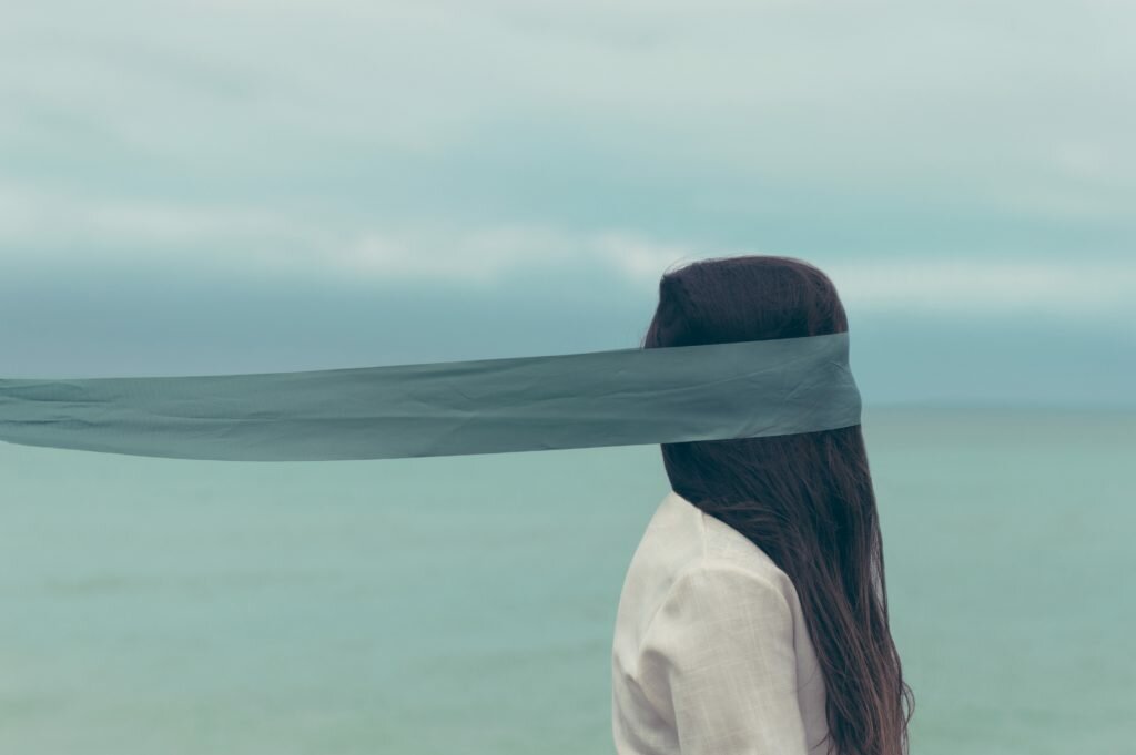 birdbox challenge 1024x681