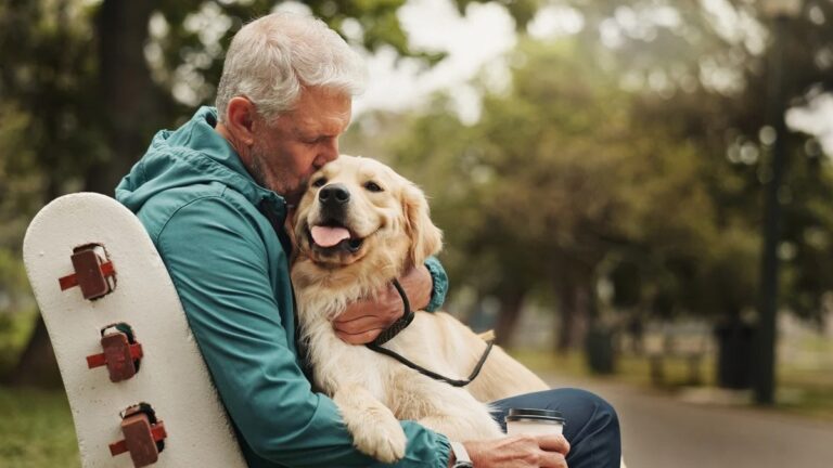 Seniors : voici l’âge limite pour adopter un chien à la SPA, après c’est trop tard