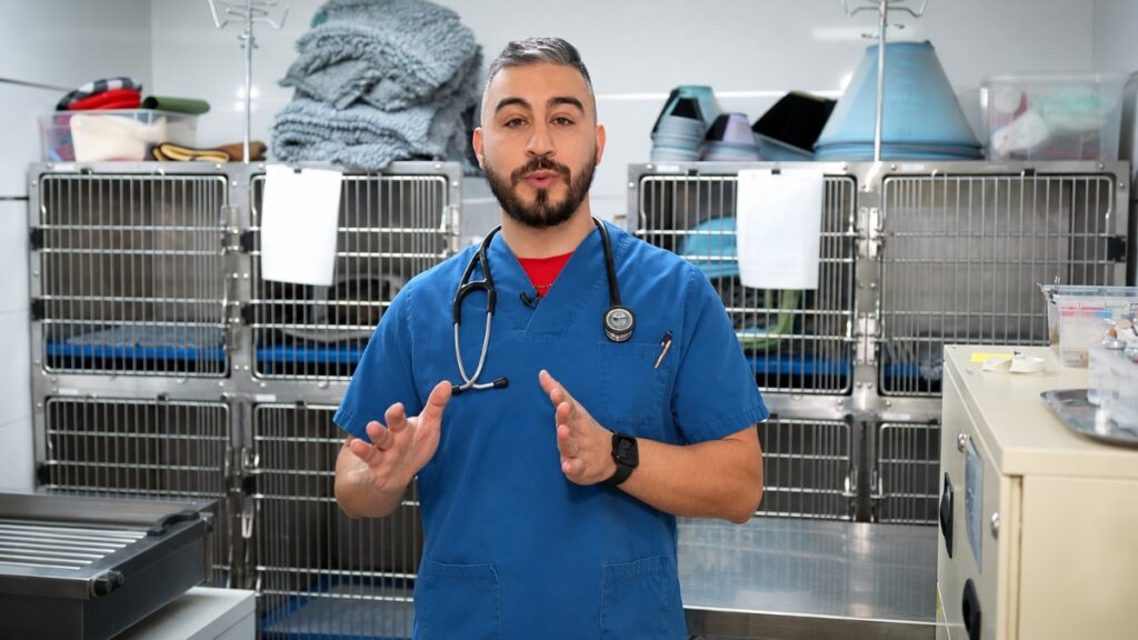 Docteur Handi, le vétérinaire qui sensibilise les internautes au bien-être animal sur TikTok et Instagram