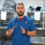 Docteur Handi, le vétérinaire qui sensibilise les internautes au bien-être animal sur TikTok et Instagram