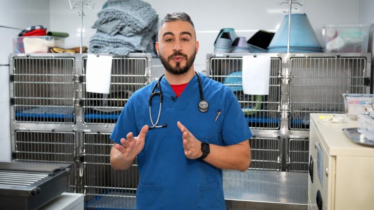 Docteur Handi, le vétérinaire qui sensibilise les internautes au bien-être animal sur TikTok et Instagram