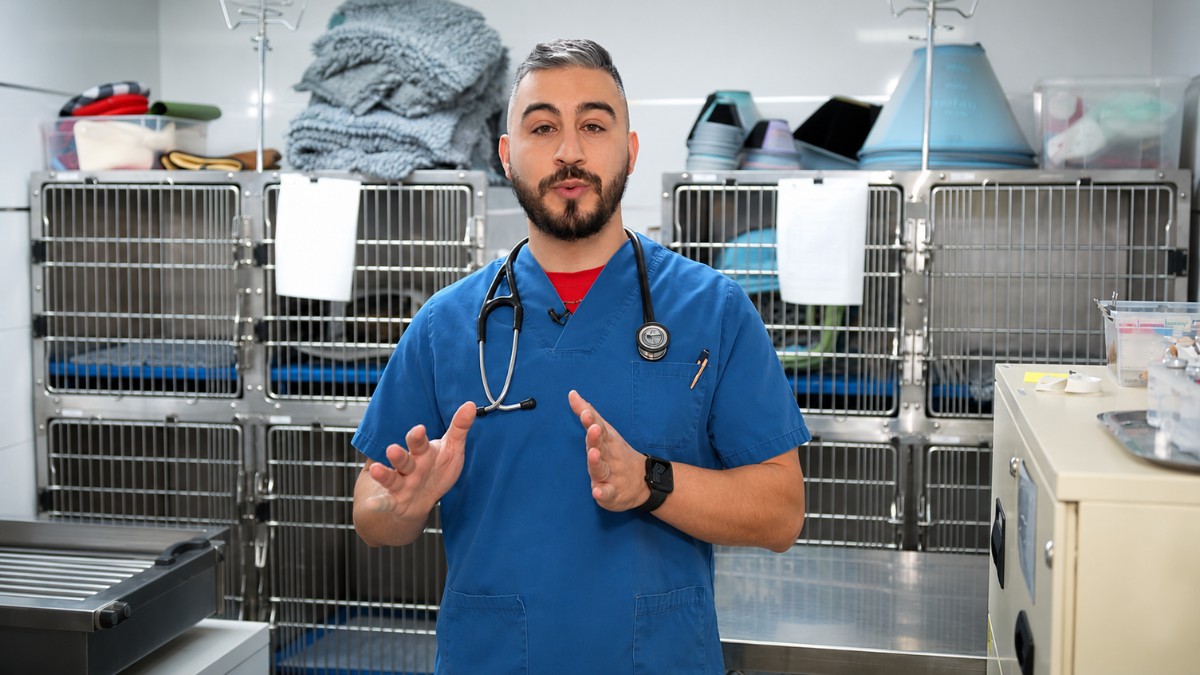 docteur handi dahmana