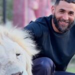 Karim Benzema critiqué par des associations de défense animale après des photos avec un bébé tigre et un lion blanc