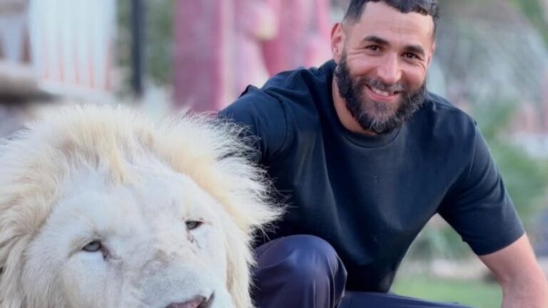Karim Benzema critiqué par des associations de défense animale après des photos avec un bébé tigre et un lion blanc