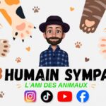 À Meknès, Humain Sympa transforme TikTok et YouTube en vitrine pour sauver les animaux abandonnés
