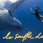 « Le Souffle de vie » sur France 4 : comment Natoo s’est retrouvée au cœur d’une expédition avec des baleines en Polynésie