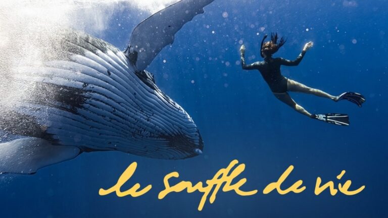 « Le Souffle de vie » sur France 4 : comment Natoo s’est retrouvée au cœur d’une expédition avec des baleines en Polynésie