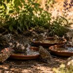 Cette influenceuse aux 417 000 abonnés sur Instagram montre comment son jardin devient un refuge pour les oiseaux pendant les fortes chaleurs
