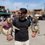 À Marrakech, filmer les arnaques est devenu une véritable machine à vues sur les réseaux sociaux