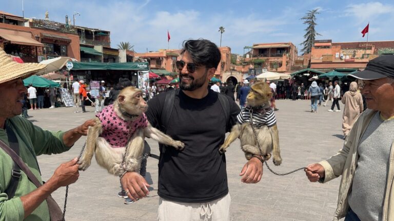 À Marrakech, filmer les arnaques est devenu une véritable machine à vues sur les réseaux sociaux